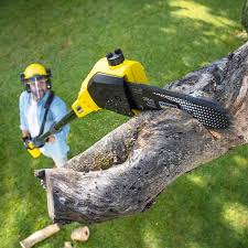 Best Lawn Maintenance Plans  in Walnut Grove, GA